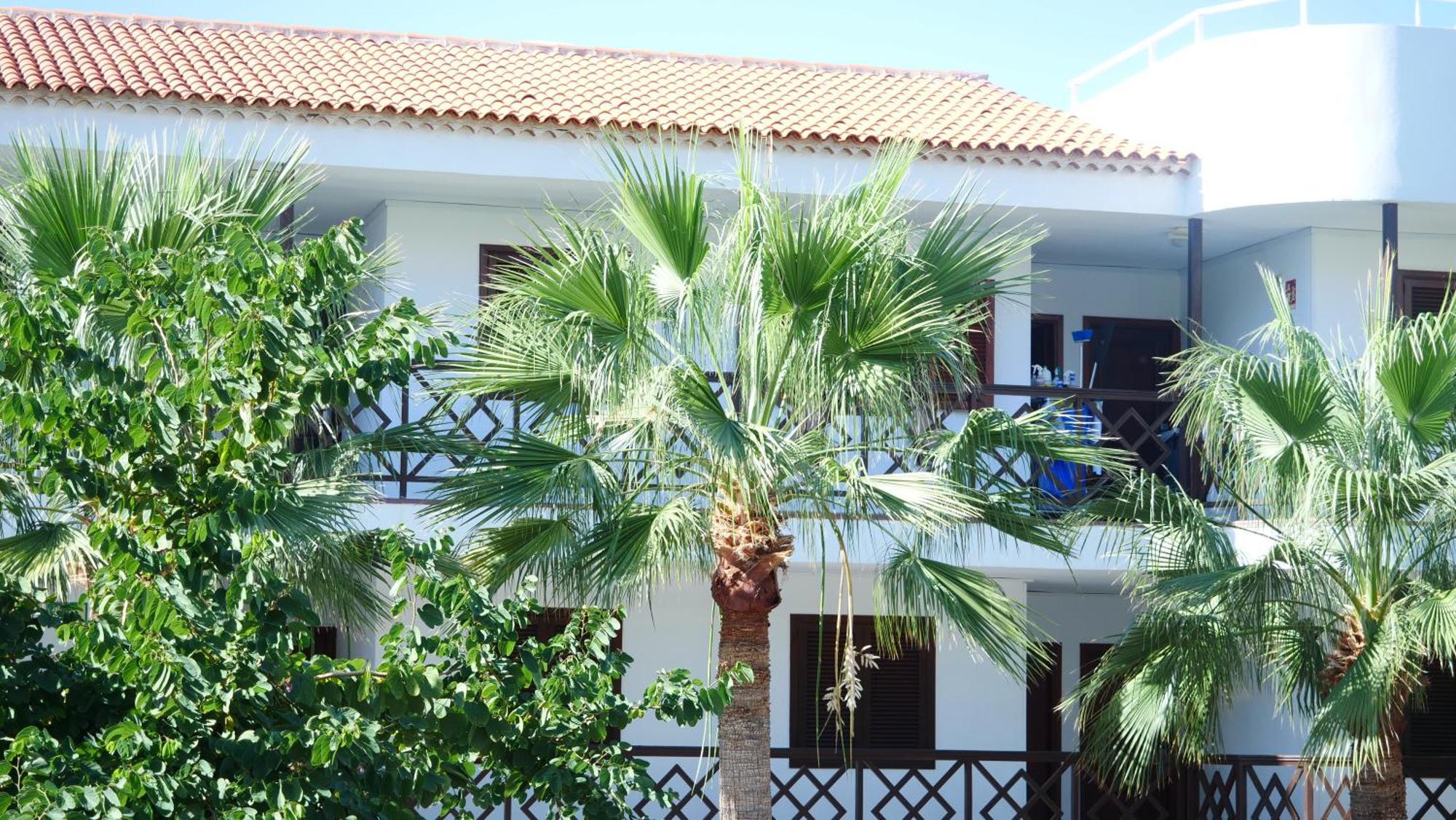 Tuerkiz Kanaan Apartman Puerto de Santiago  Exterior foto